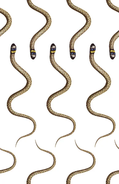 Motif Sans Couture Serpent Rayures Sur Fond Blanc — Image vectorielle