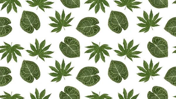 Feuilles Vertes Monstera Sur Fond Blanc Plan Plat Vue Sur — Image vectorielle