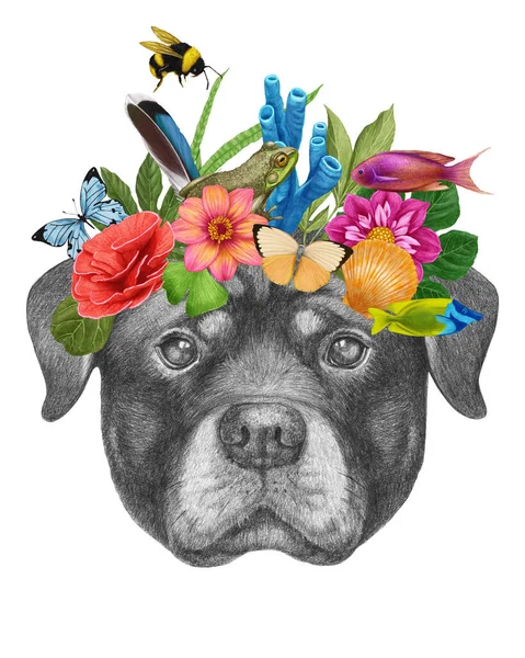 Perro Con Flores Hojas Aislado Sobre Fondo Blanco —  Fotos de Stock