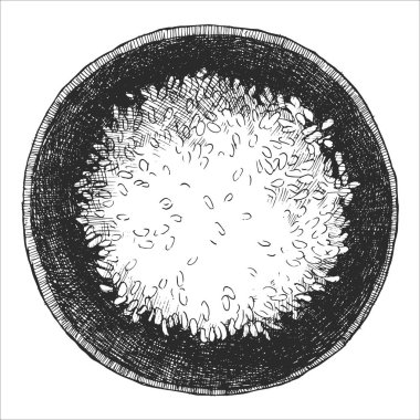Asya yemekleri. Rice Bowl 'un elle çizilmiş bir resmi. Vektör. Mürekkep çizimi.