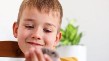 Çocuk evde hamsterla oynuyor, elinde kemirgen tutuyor.