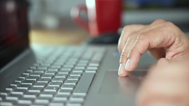 Man werkt op de computer met behulp van touchpad — Stockvideo