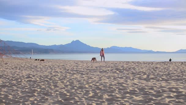 Vrouw wandelend langs het strand met haar hond — Stockvideo