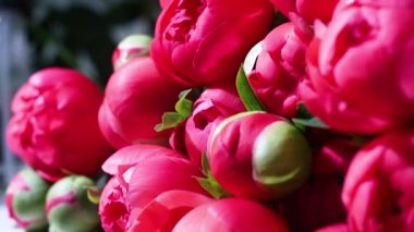 Woman in a flower salon prepares a bouquet of peonies, slow motion