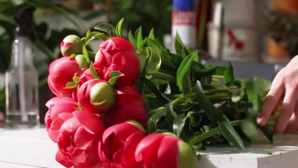 La donna in un salone di fiori prepara un mazzo di peonie in vendita — Video Stock