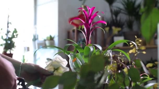 Жінка в квітковому салоні вирізала троянду, щоб зробити букет в коробці — стокове відео