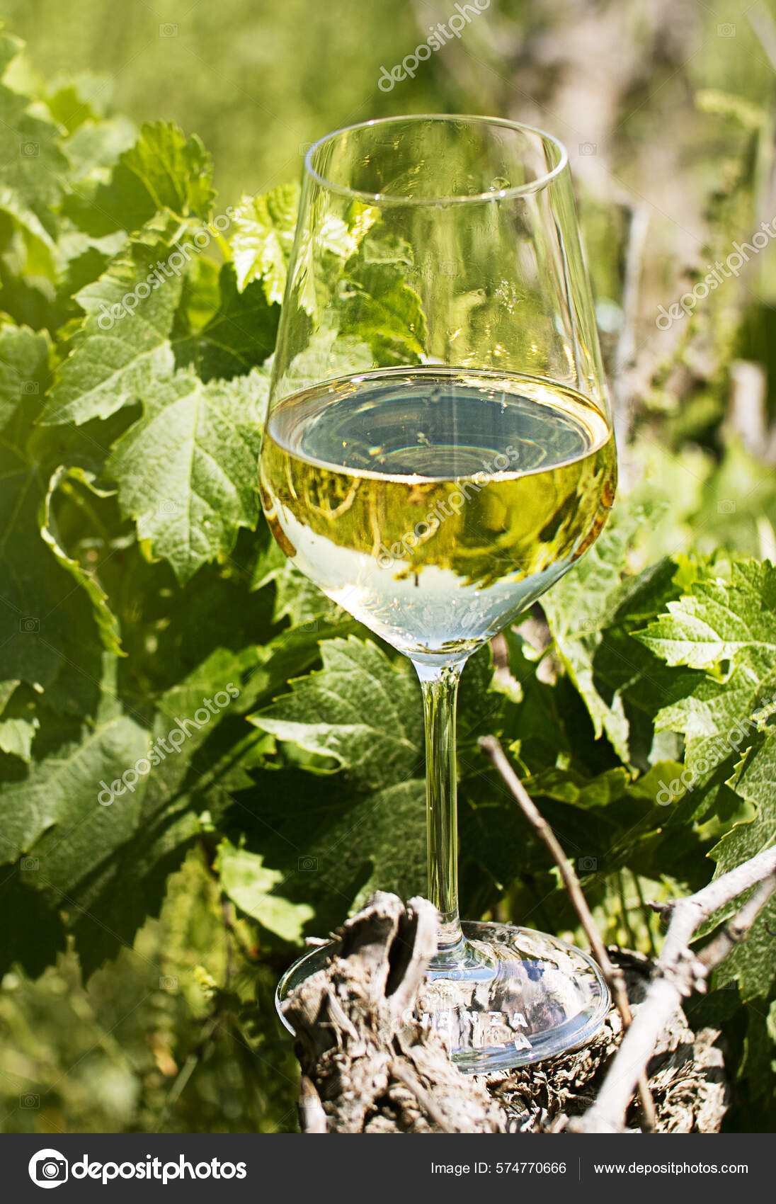 High Resolution Wine Glass Photography White Wine Overflowing From
