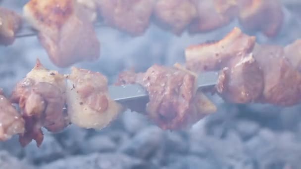 Lamm Shashlike Kebab Grillad Över Öppen Eld Närbild Högkvalitativ Fullhd — Stockvideo