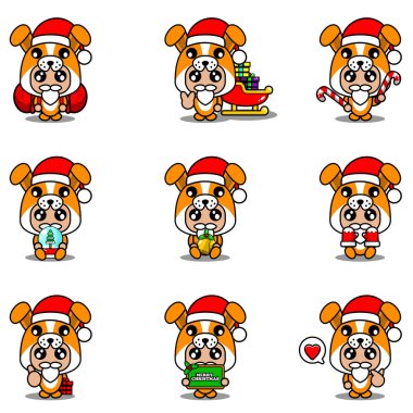 Maskot kostümlü köpek. Noel paketi.