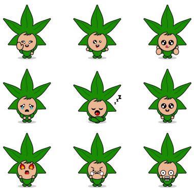 Çizgi film karakteri maskotu kostümünün vektör çizimi marihuana yaprağı ifadesi