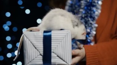 2020 beyaz metal sıçan kadın ellerinde bir hediye tutuyor.