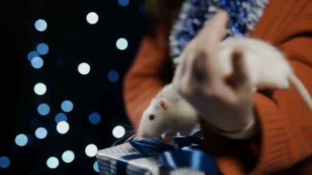 2020 biały metalowy szczur trzymający prezent w rękach kobiet — Wideo stockowe