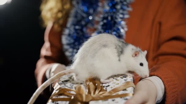 2020 biały metalowy szczur trzymający prezent w rękach kobiet — Wideo stockowe