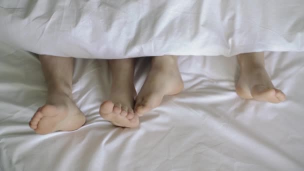 Couple in bed. Male and female legs top view on a white bed. 4k — Stock Video