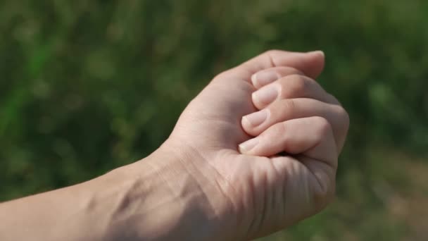 Woman releases the butterfly from her hand.Butterfly flies away into the wild — Vídeo de Stock