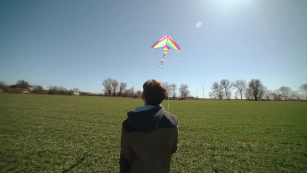 Щасливий хлопчик грає і літає змія на відкритому повітрі у вітряний сонячний день . — стокове відео