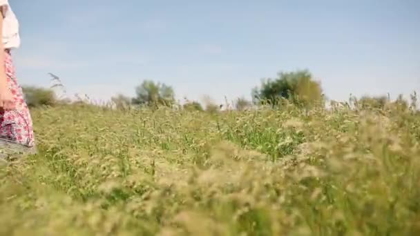Ung Mjölkpiga Går Genom Ett Grönt Fält Och Bär Hinkar — Stockvideo