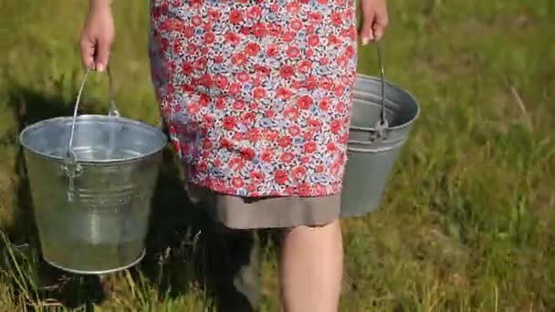 Young Milkmaid Walks Green Field Carries Buckets Water Livestock Carries — Stock Video