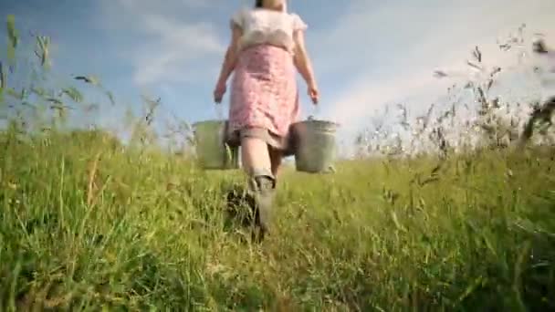 Ung Mjölkpiga Går Genom Ett Grönt Fält Och Bär Hinkar — Stockvideo