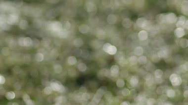 Soyut bulanık arkaplan resimleri, bokeh, odak dışı. Güneş ışınları suyla parıldıyor..