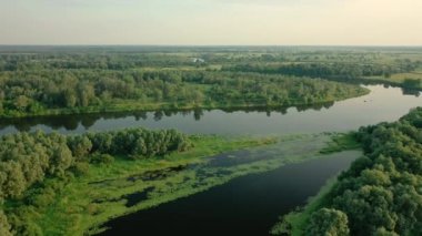 Nehrin üzerinde uçan hava manzarası. Yüksek kalite 4k görüntü