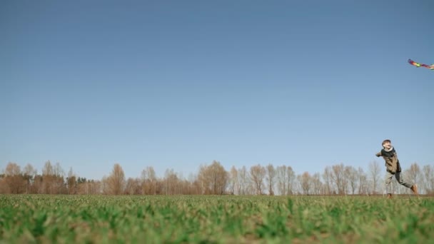 Ragazzo Corre Attraverso Campo Verde Con Aquilone Vista Laterale Rallentatore — Video Stock