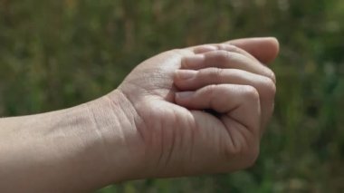 Kadın kelebeği elinden bırakıyor. Kelebek vahşi, yavaş çekimde uçuyor.