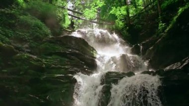 Kristal berrak suyu olan küçük bir şelale. Su yeşil bir ormanda yosun ile kaplanmış taşların üzerinden akar. Ağaçların arasından gün ışığı doğuyor.