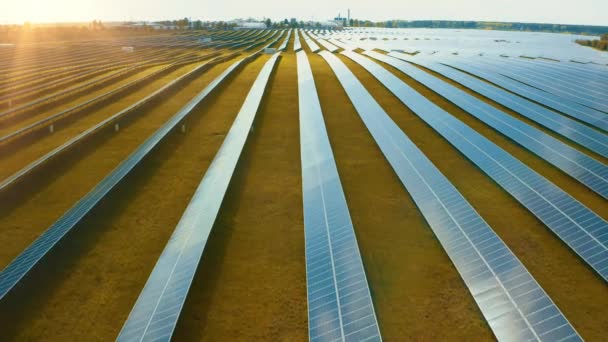 Zonne Energie Panelen Het Veld Elektrische Innovatie Bovenaanzicht Groene Energie — Stockvideo