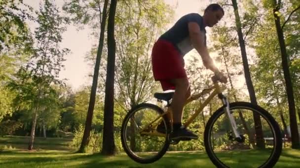 Cyclist Performs Trick Background Trees Cyclist Slow Jumps Rear Wheel — Stock Video