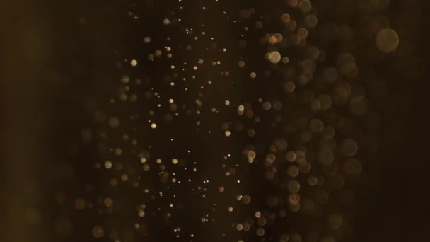 在黑色背景上缓慢运动的浮尘微粒的美丽闪光 Bokeh效果 没有聚焦的金颗粒的背景 被空气中飘浮的真正的尘埃粒子射中 — 图库视频影像