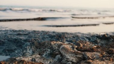 Çevresel sorunlar. Su kirliliği. Ekolojik felaket. Deniz yüzeyinde ve sahilde siyah balçık.