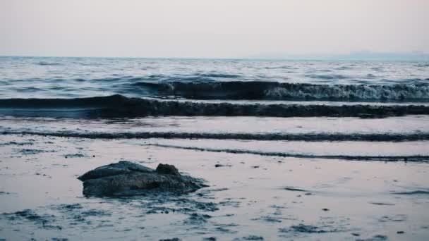 Petrol Ürünleriyle Okyanus Suyu Kirliliği Deniz Kıyısındaki Siyah Balçık Manzarası — Stok video