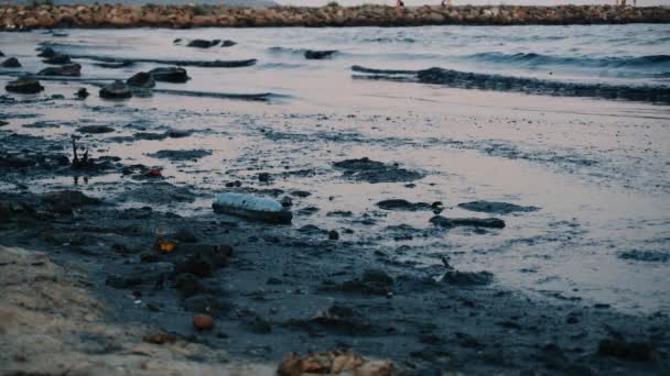 Okyanus Suyu Kirliliği Atık Yakında Çöp Plastik Atık Ile Çevre — Stok video