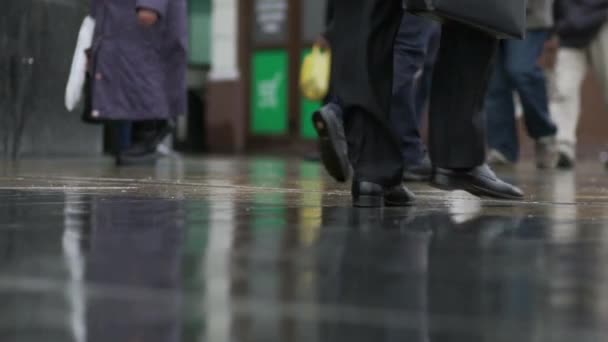 Many People Walk Street Sidewalk Rain Legs Close Reflection Puddles — Video Stock
