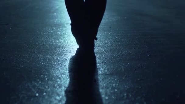 Büyük Bir Şehrin Sokaklarında Gece Vakti Arka Planda Yürüyen Bir — Stok video