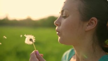 Portrait of a beautiful young woman blowing on the ripened dandelion in the evening against the background of the sunset sun. 4K slow motion video. side view