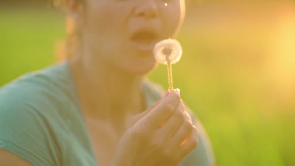 Portrait Beautiful Young Woman Blowing Ripened Dandelion Evening Background Sunset — 비디오