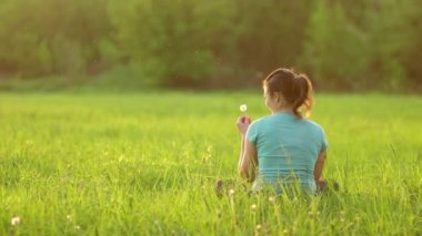 A pretty girl blows on a ripe dandelion while sitting on the grass in the evening against the backdrop of the setting sun. Outdoor recreation. View from the back. 4K slow motion video