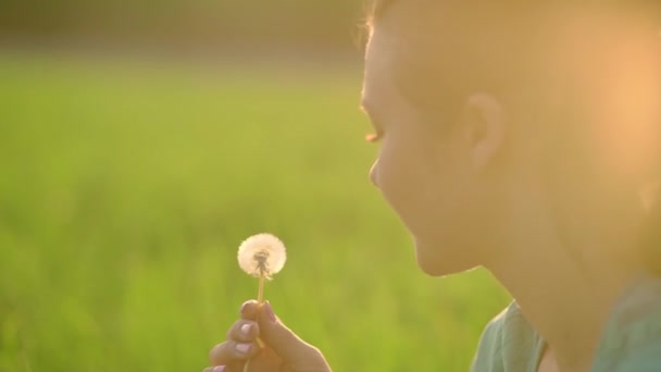 Portrait Beautiful Young Woman Blowing Ripened Dandelion Evening Background Sunset — Stok video