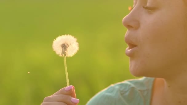 Portrait Beautiful Young Woman Blowing Ripened Dandelion Evening Background Sunset — Stok video
