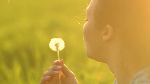 Close Young Happy Girl Blowing Ripe Dandelion Evening Backdrop Setting — Wideo stockowe