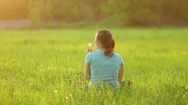A pretty girl blows on a ripe dandelion while sitting on the grass in the evening against the backdrop of the setting sun. Outdoor recreation. View from the back. 4K slow motion video