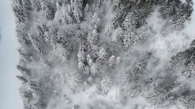 Dağlardaki kış manzarası, kardaki köknar ağaçları, üst manzara 4k, insansız hava aracı.