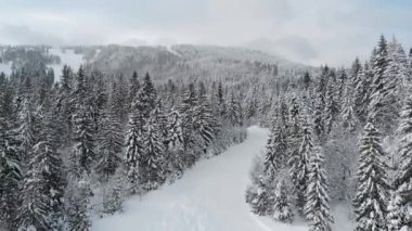 Dağlardaki kış manzarası, kardaki köknar ağaçları, üst manzara 4k, insansız hava aracı.