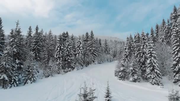 Téli Táj Hegyekben Videó Egy Drónról — Stock videók