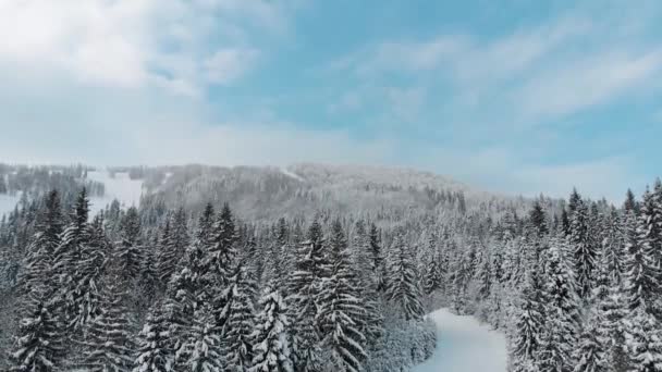 Winterlandschap Bergen Video Van Een Drone — Stockvideo