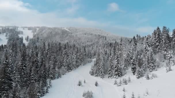 Зимний Пейзаж Горах Вид Сверху Дрон — стоковое видео