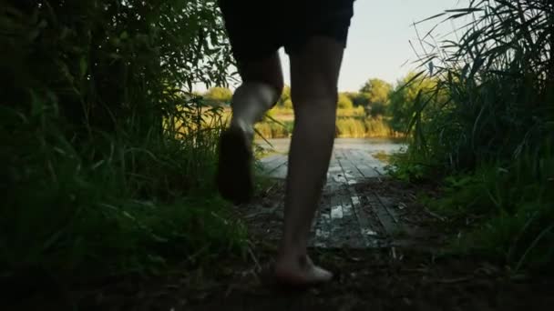Bel Homme Court Long Une Jetée Bois Saute Dans Lac — Video
