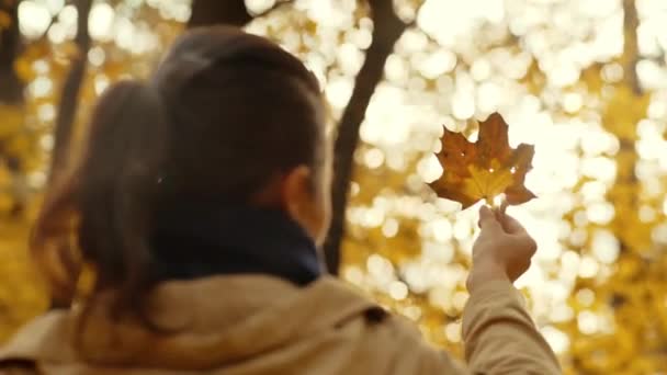 在秋天的公园里散步 一个女孩欣赏一片落下来的黄色枫叶 手里拿着它旋转着 — 图库视频影像